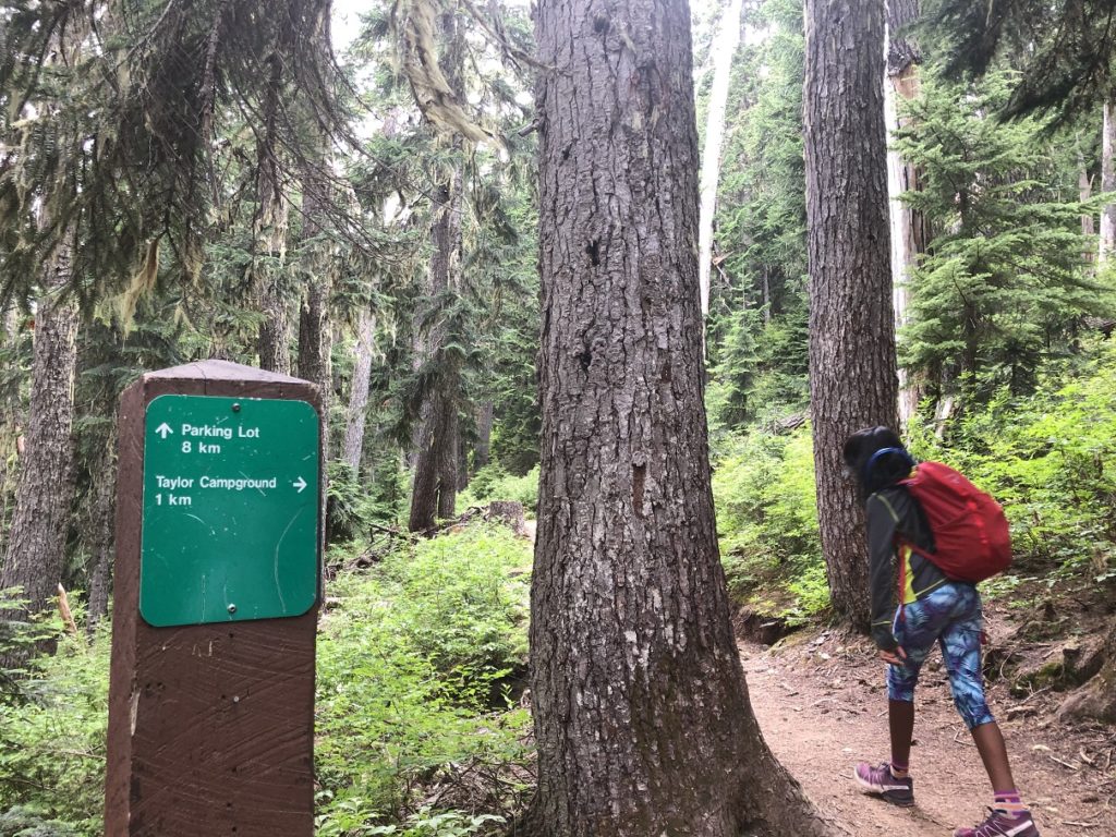 Hike to Taylor Meadows Campground