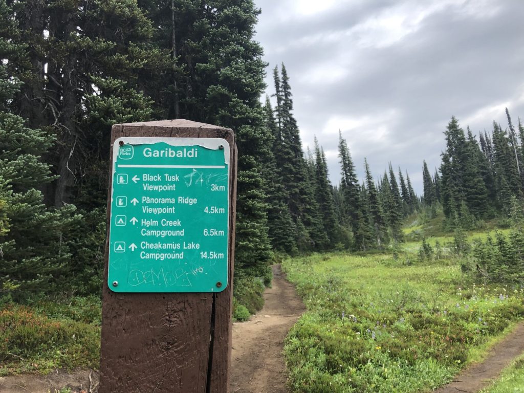 Panorama Ridge Trail