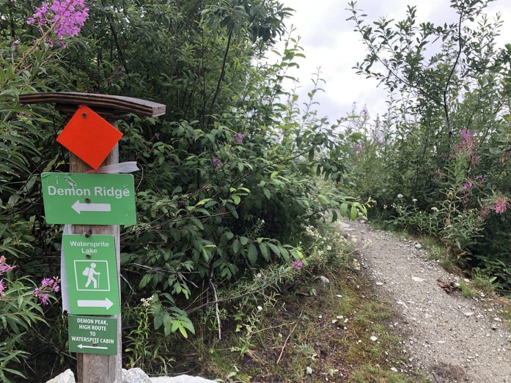 Demon Peak Trail Junction Watersprite Lake Trail