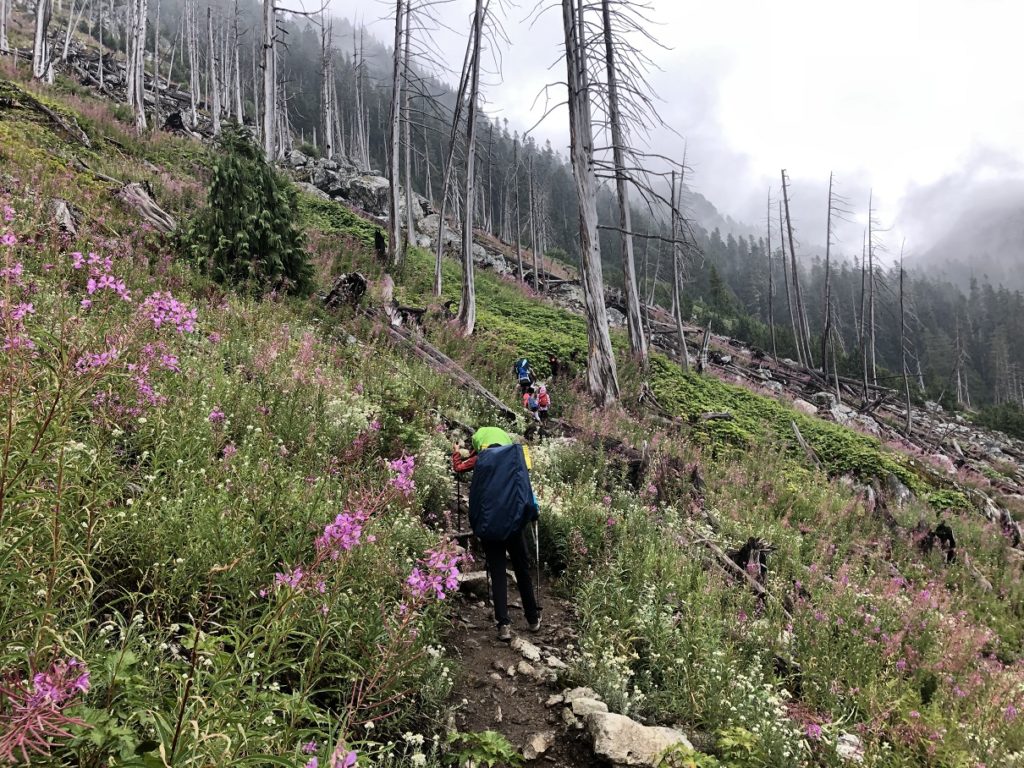 Watersprite Lake Trail
