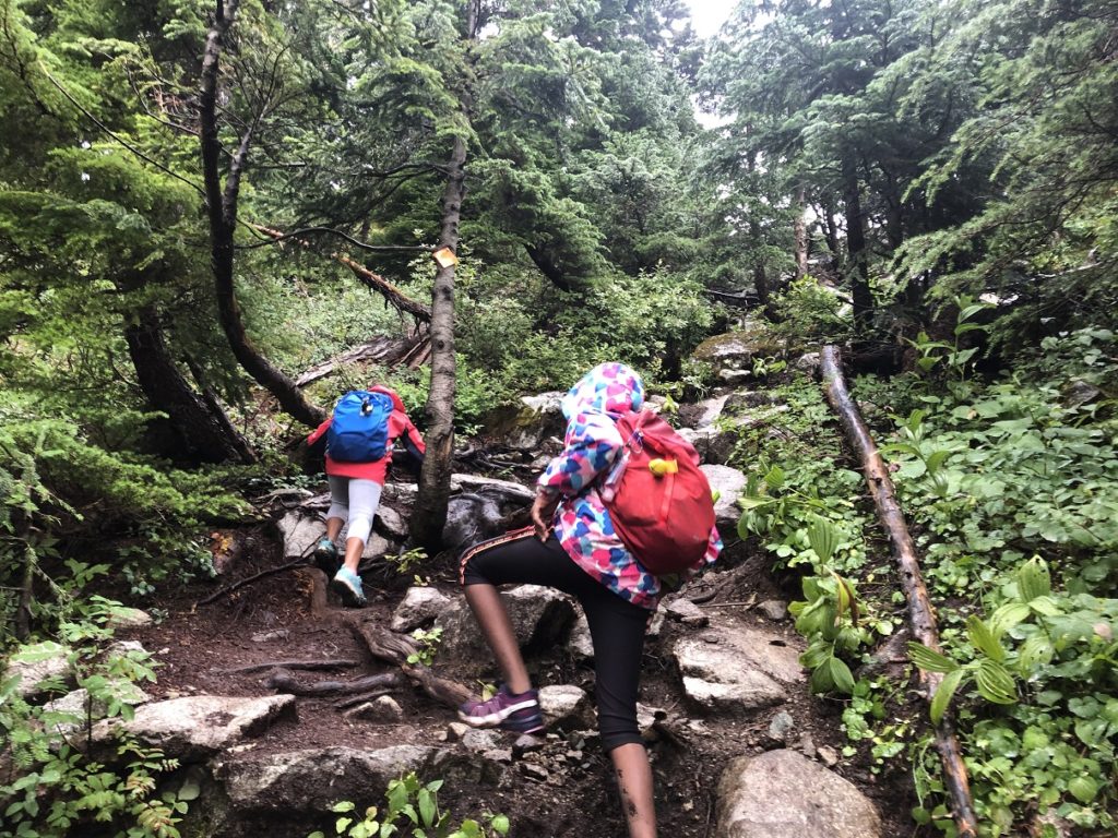 Watersprite Lake Trail