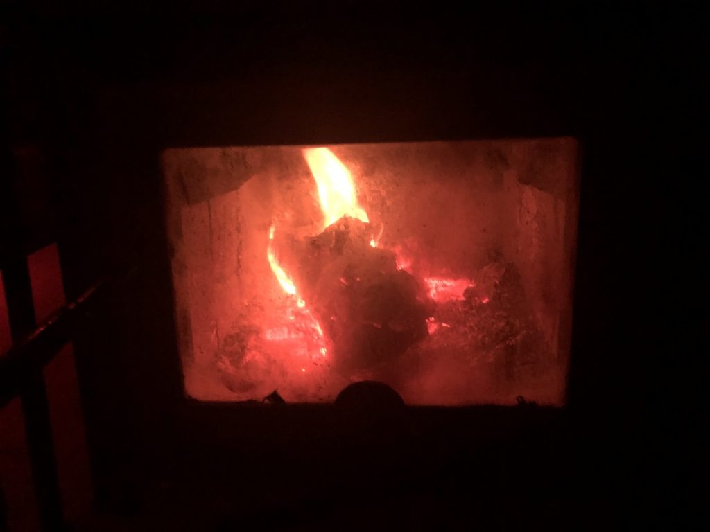 Watersprite Lake Hut True North Wood Stove