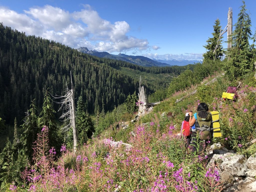 Watersprite Lake Trail