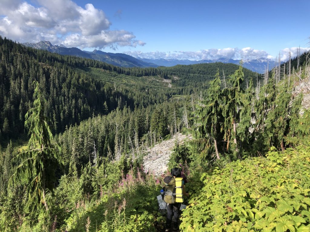 Watersprite Lake Trail