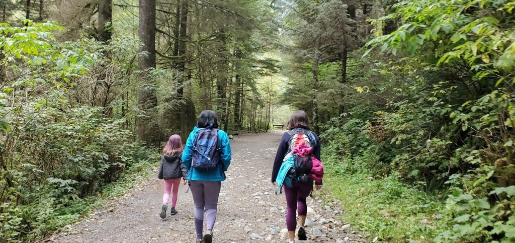 Lower Lynn Loop Trail Norvan Falls Hike