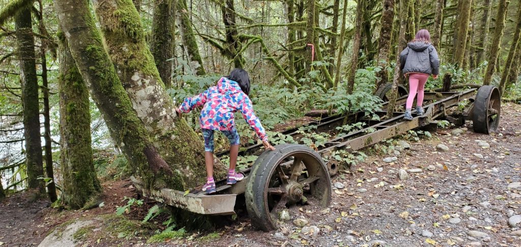 Lower Lynn Loop Trail Norvan Falls Hike