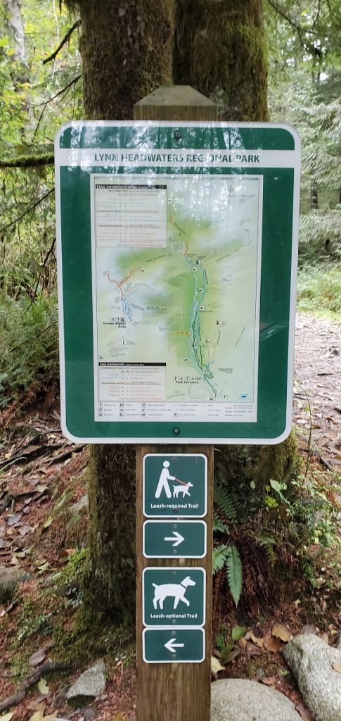 Cedars Mill Trail Norvan Falls Hike