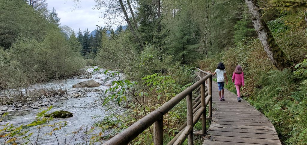 Cedars Mill Trail Norvan Falls Hike