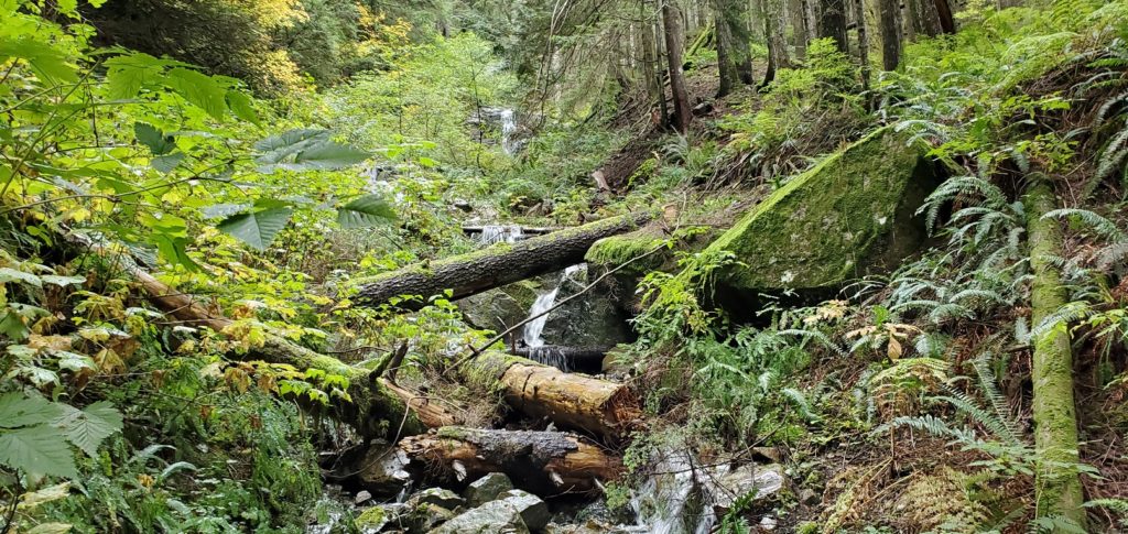 Headwaters Trail Norvan Falls Hike