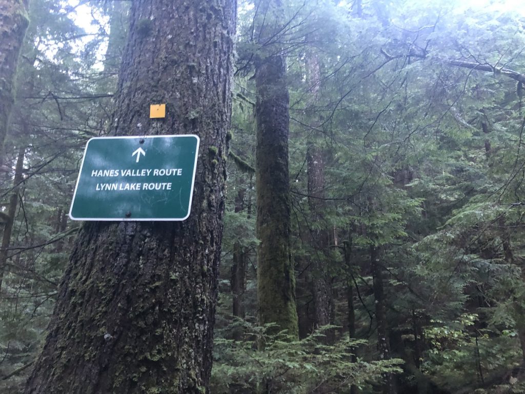 Hanes Valley Loop Hike