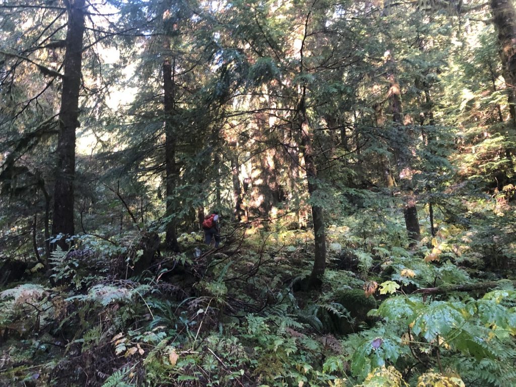 Hanes Valley Loop Hike