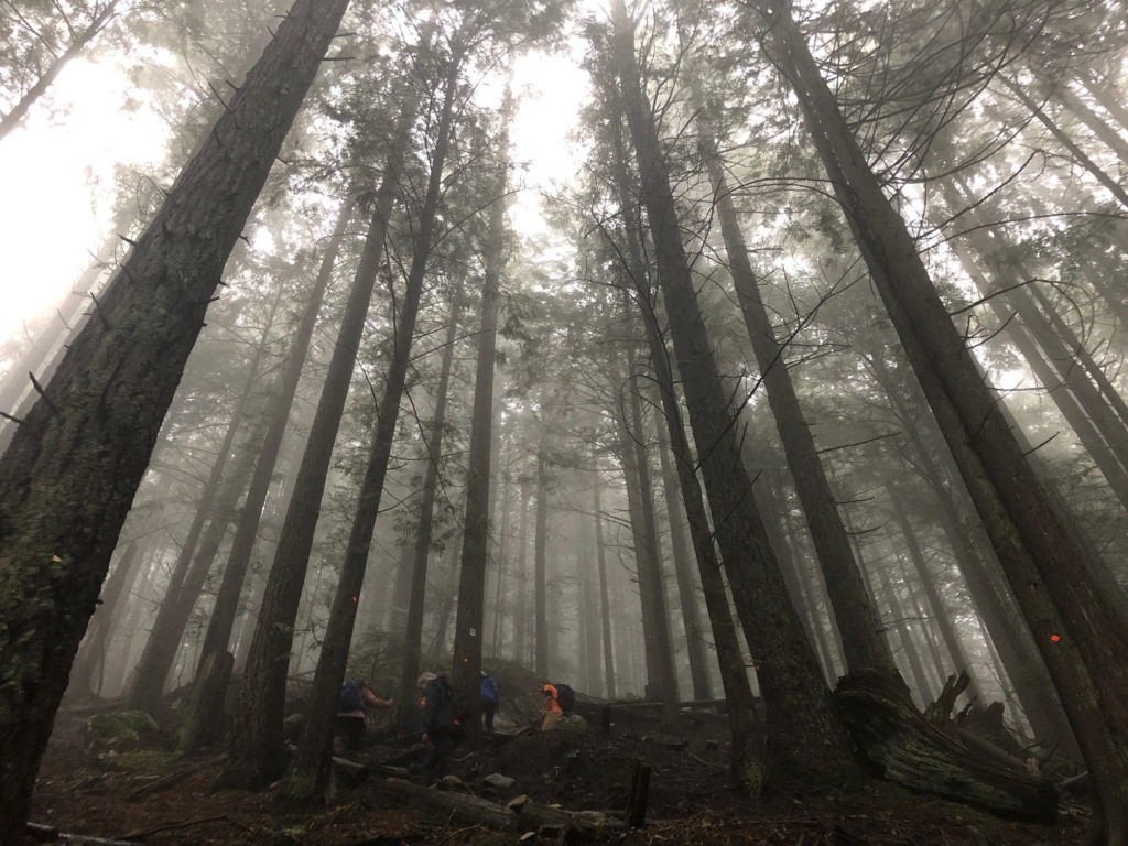Grouse Grind Orange Shirt Day Hike