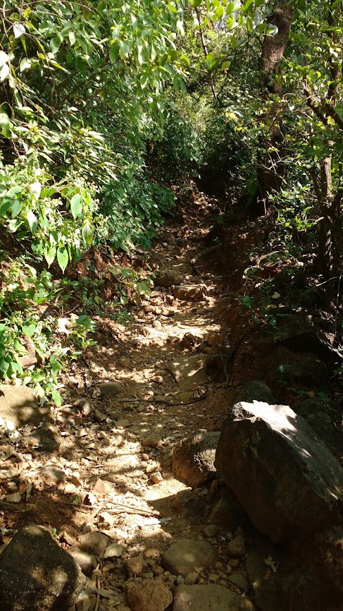 Harishchandragad Khireshwar Route