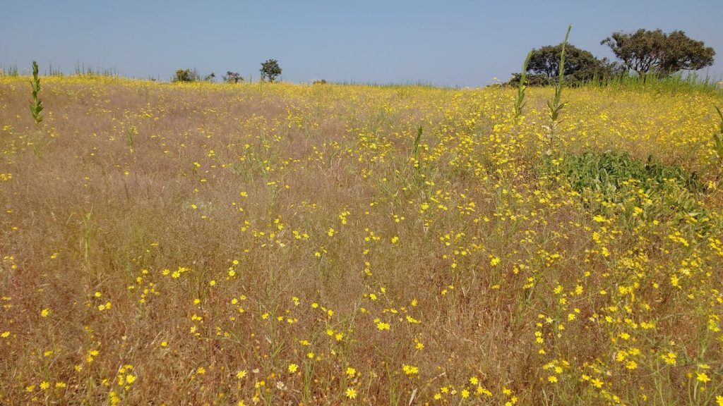 Harishchandragad Khireshwar Route