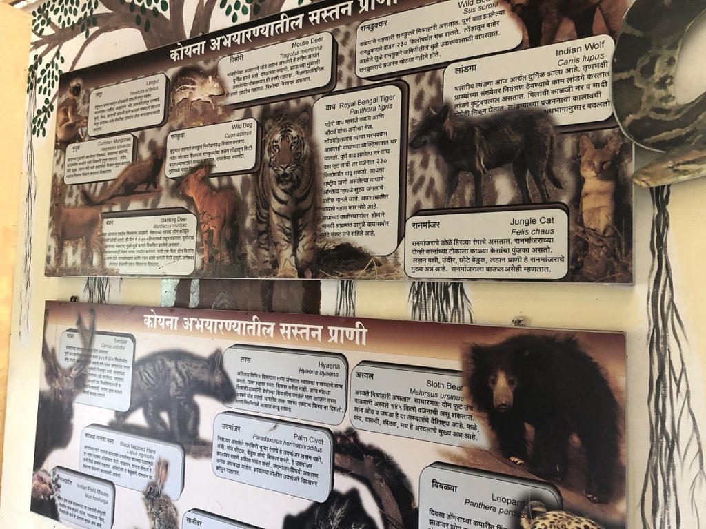 Vasota Fort Trek - Range Forest Office