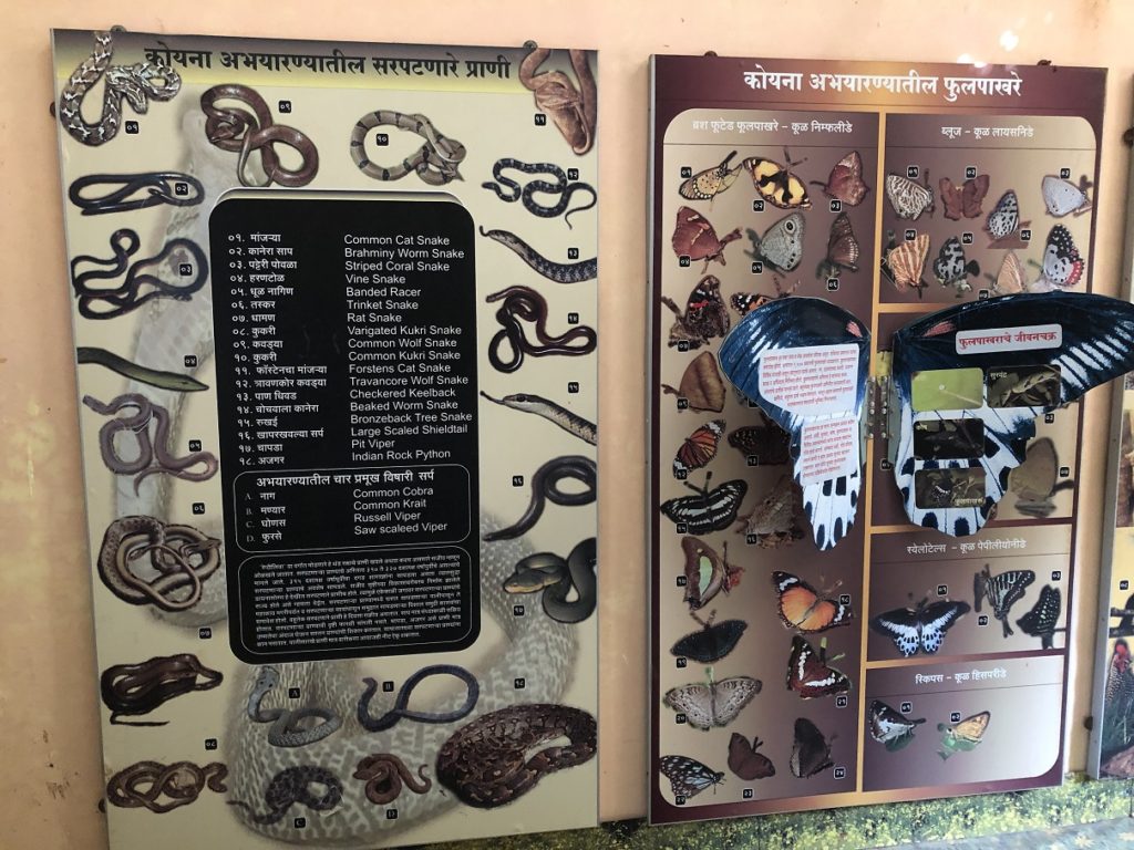 Vasota Fort Trek - Range Forest Office