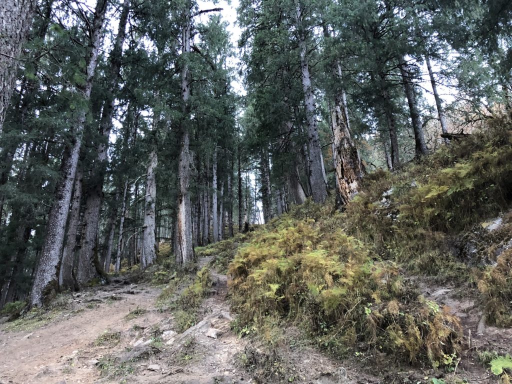 Karchi to Akhrotghetta Kuari Pass Trek