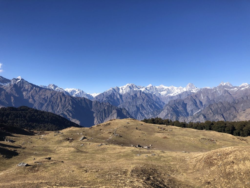 Gorson Bugyal - Kuari Pass Trek