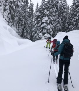 Beverley Creek Winter Trail