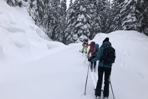 Beverley Creek Winter Trail