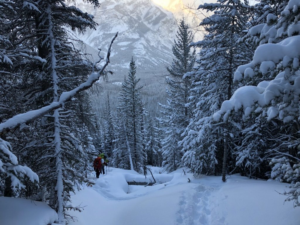 Five-Day Ice Leader Camp - Sean Isaac Wedge Smear