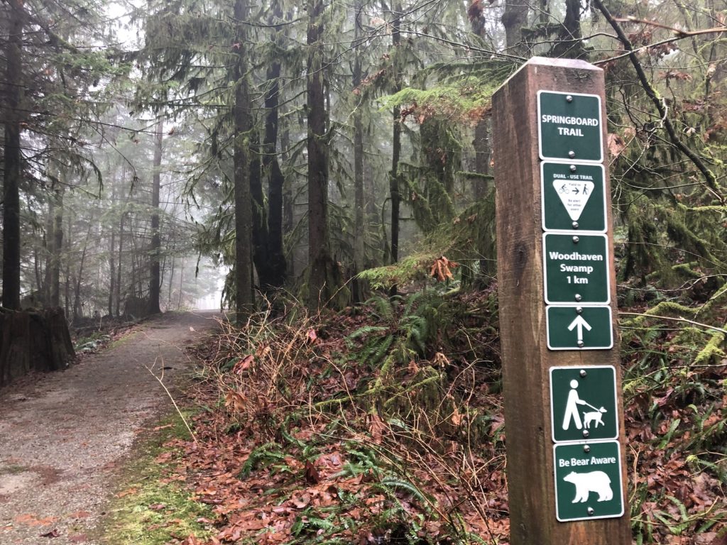 Belcarra Bluffs Hike