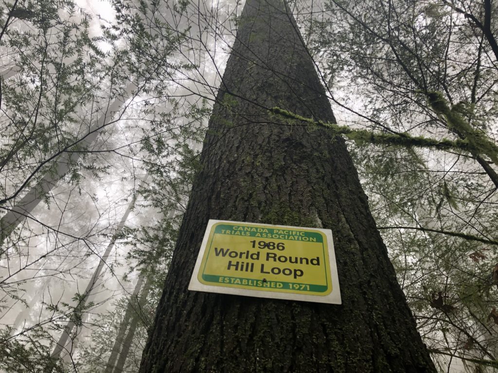 Belcarra Bluffs Hike