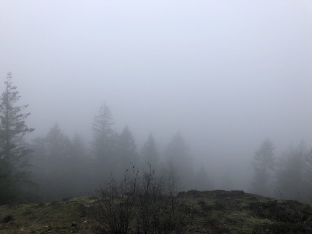 Belcarra Bluffs Hike