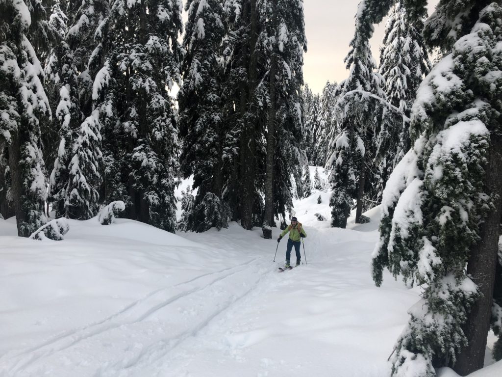 Mount Seymour Backcountry Skiing Hidden Lake