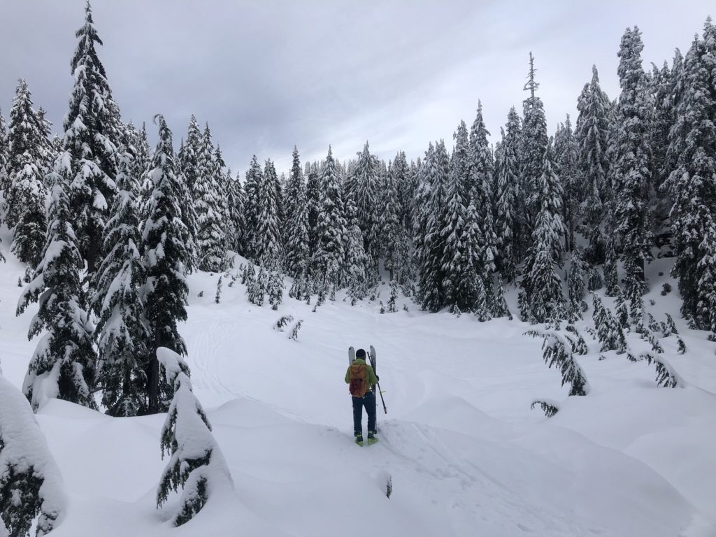 Mount Seymour Backcountry Skiing Hidden Lake