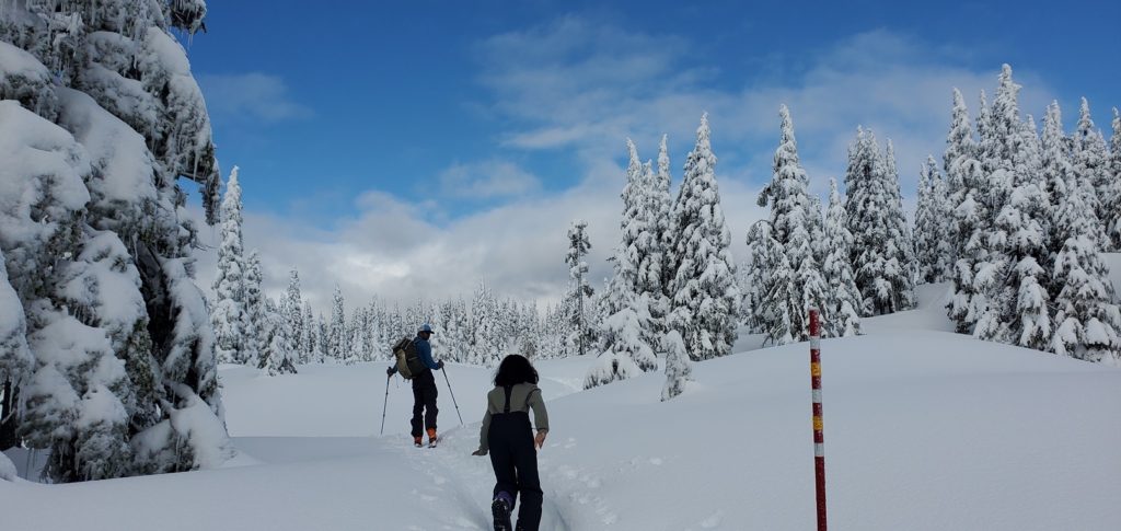 Black Mountain Backcountry Skiing