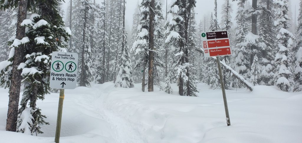 Snowshoeing at Big White