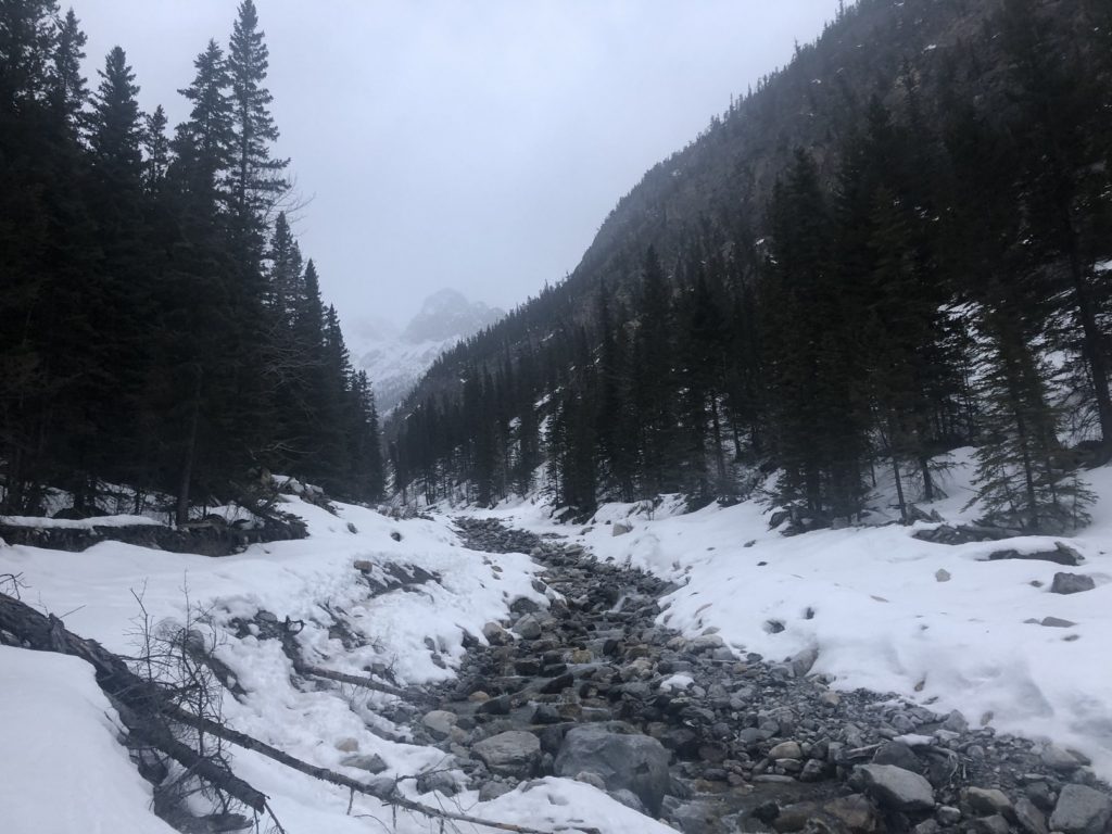 Canadian Rockies Ice Climbing Bear Spirit