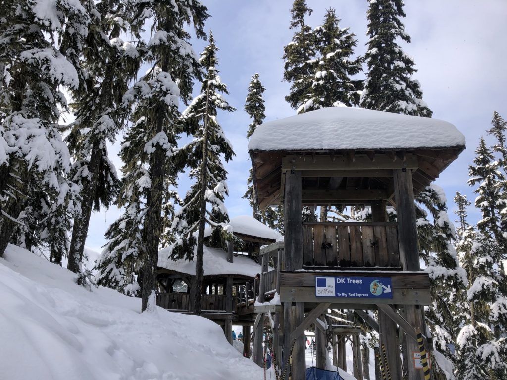 Whistler Creekside Skiing