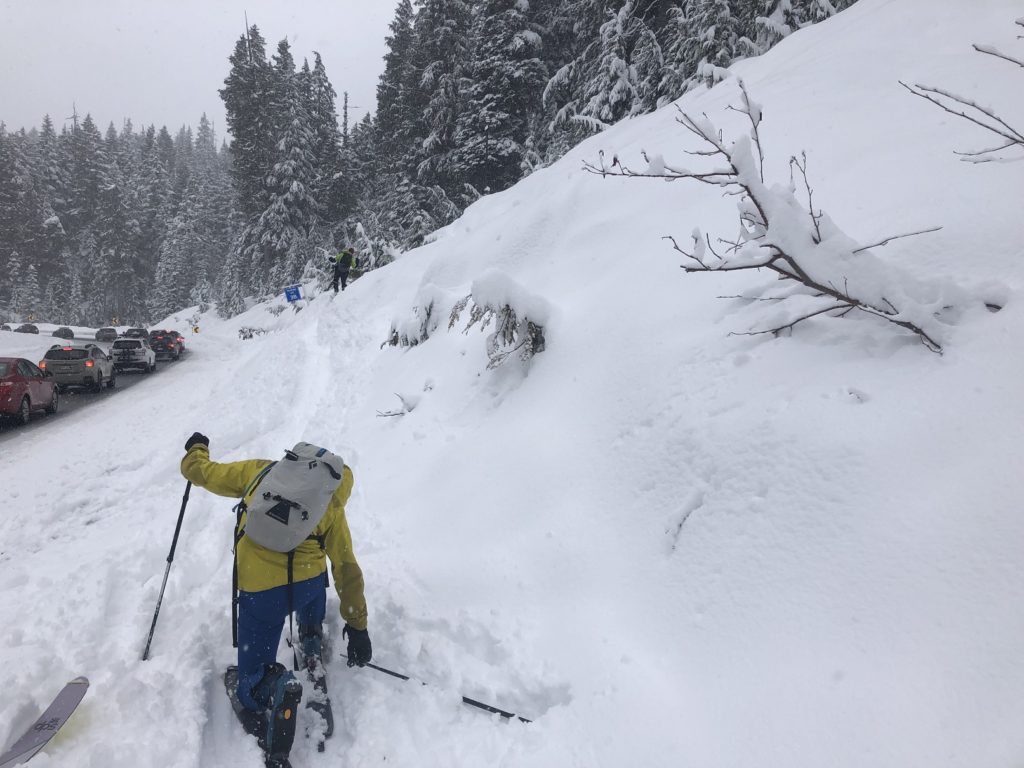 Hollyburn Mountain Backcountry Skiing