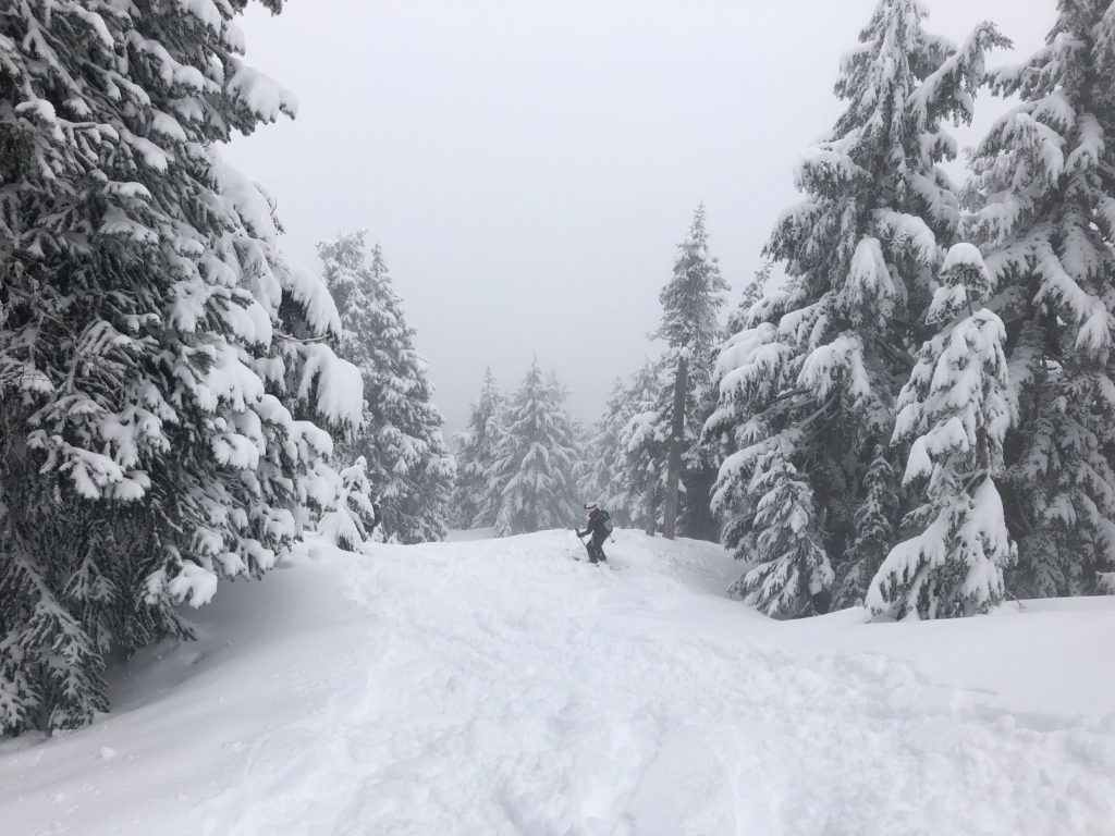 Hollyburn Mountain Backcountry Skiing
