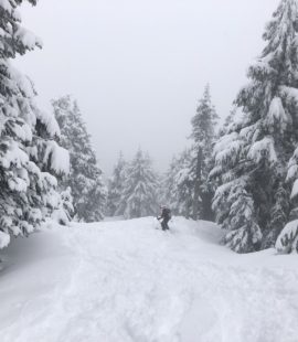 Hollyburn Mountain Backcountry Skiing