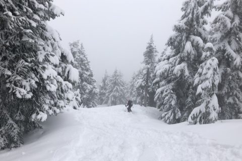 Hollyburn Mountain Backcountry Skiing