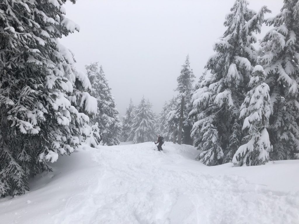 Hollyburn Mountain Backcountry Skiing