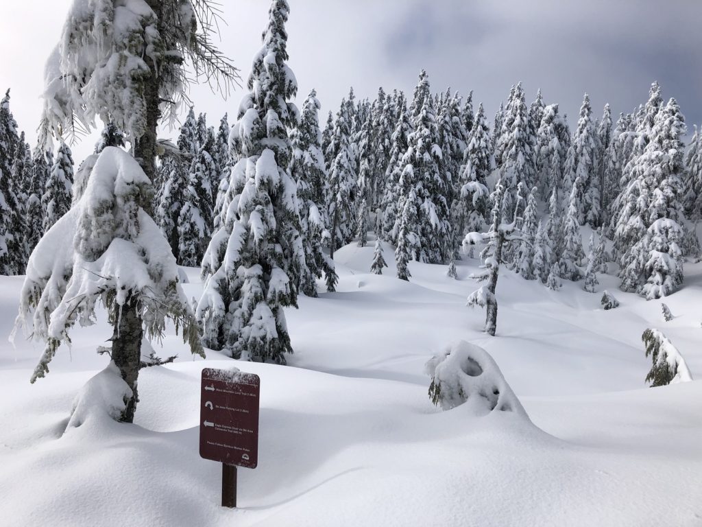 Black Mountain Backcountry Skiing