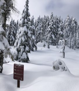 Black Mountain Backcountry Skiing