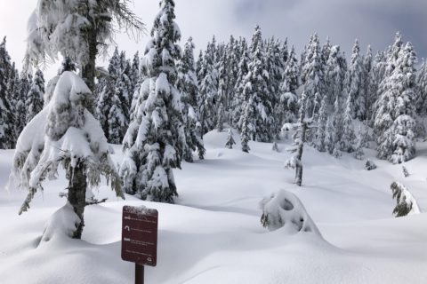 Black Mountain Backcountry Skiing