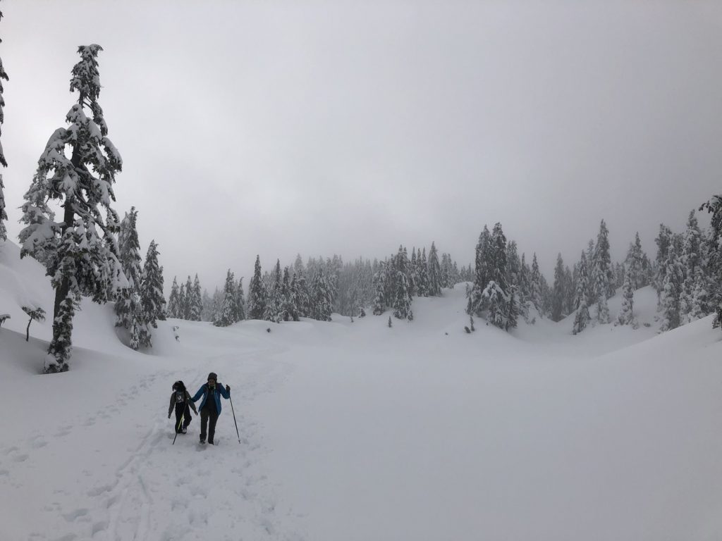 Black Mountain Backcountry Skiing