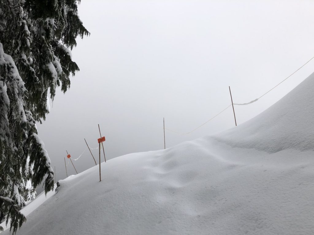 Black Mountain Backcountry Skiing