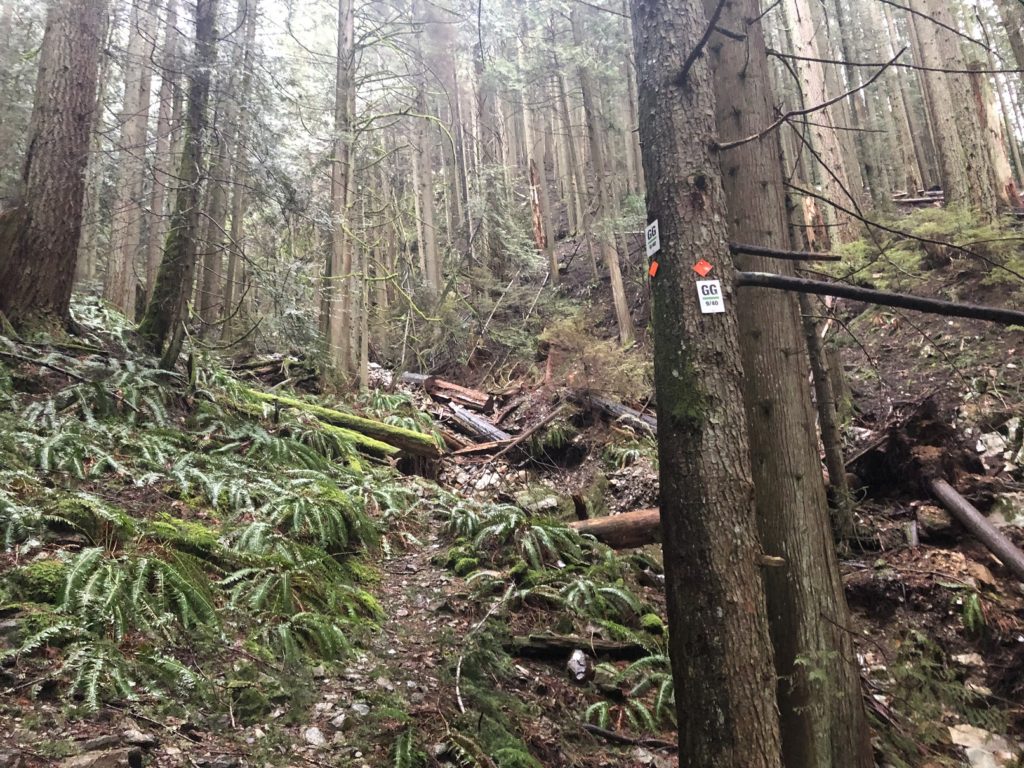 Flint and Feather Trail