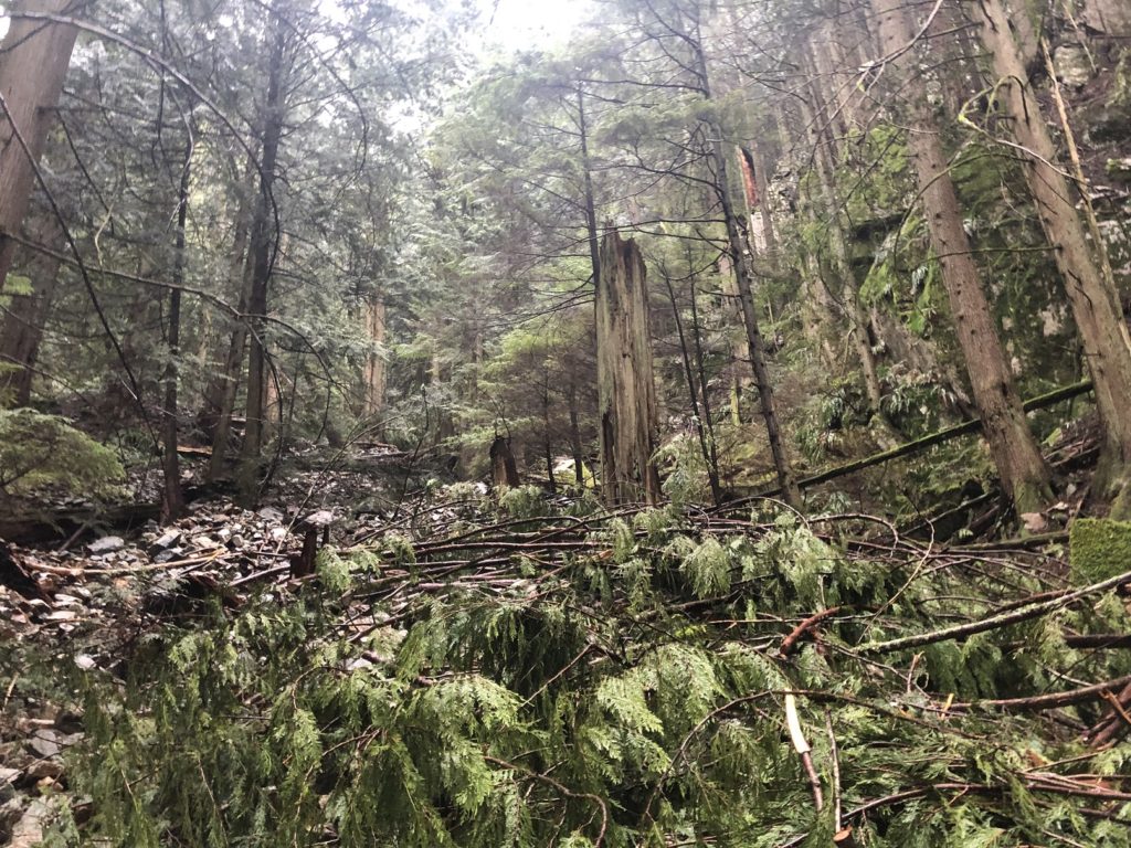 Flint and Feather Trail