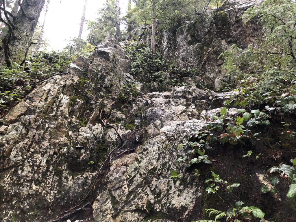 Flint and Feather Trail