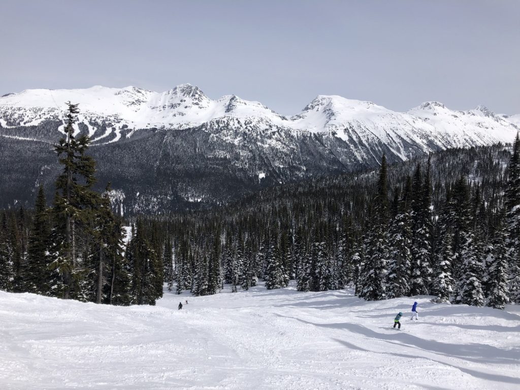 Jeff's Ode to Joy Whistler