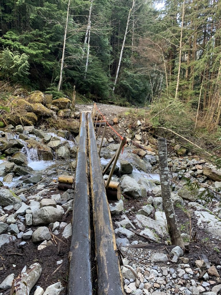 Mount Brunswick Trail in Spring