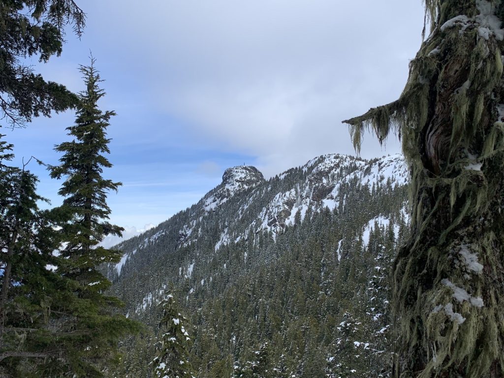 Mount Brunswick Trail in Spring. Hat Mountain view